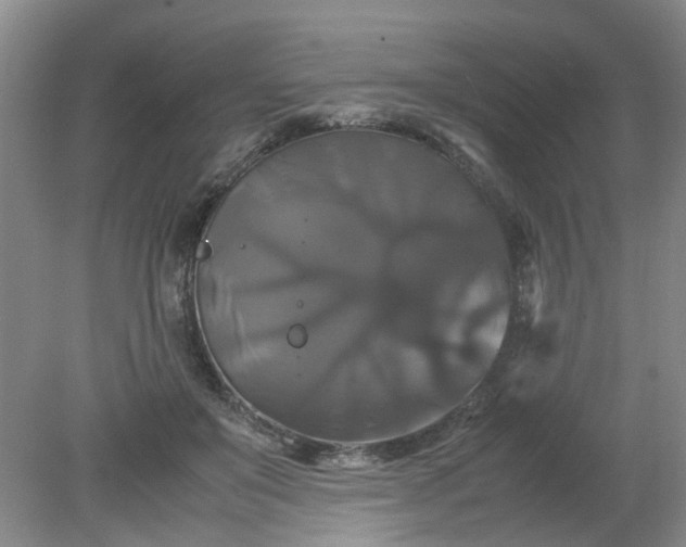 X0000079320503200612011846