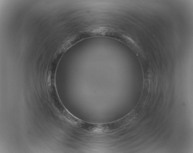 X0000079320504200612011846