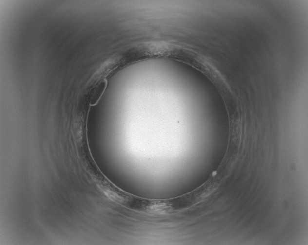 X0000079320505200612011846