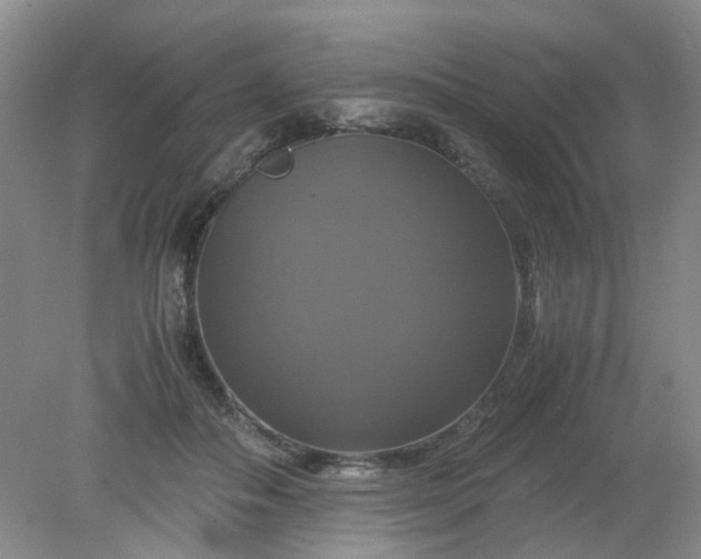 X0000079320506200612011845