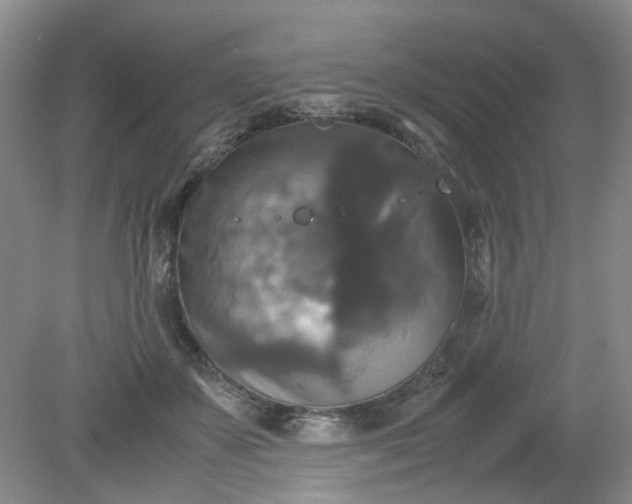 X0000079320507200612011845