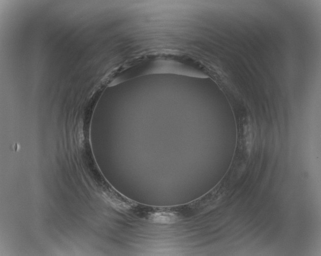 X0000079320508200612011845