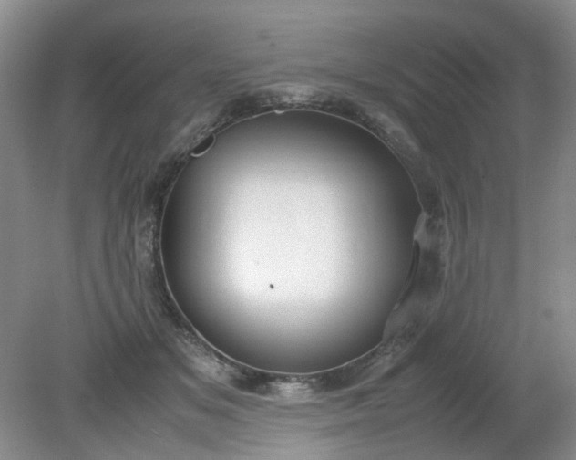 X0000079320509200612011845