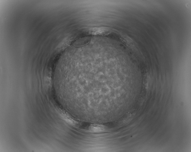 X0000079320510200612011845