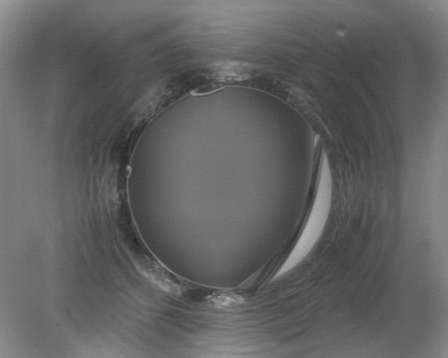 X0000079320512200612011845