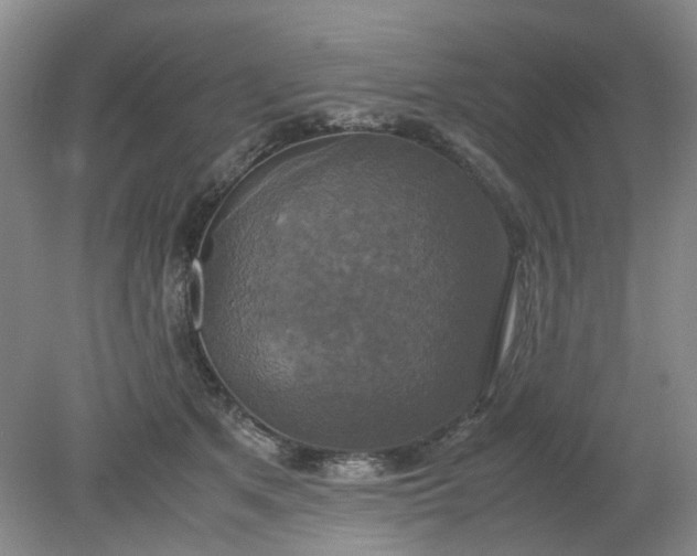 X0000079320513200612011845