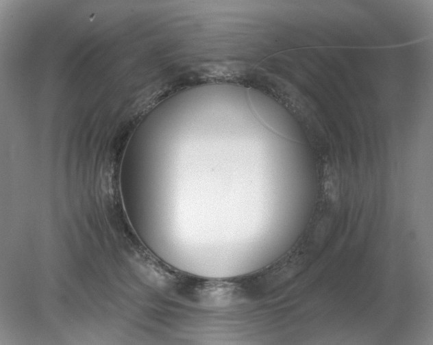 X0000079320514200612011845