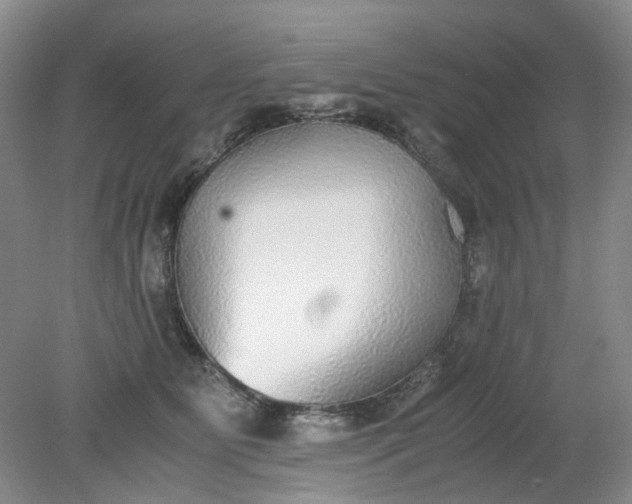 X0000079320515200612011845