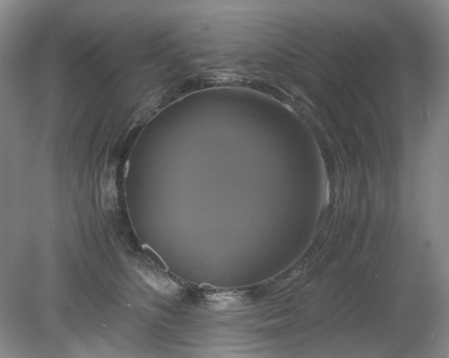 X0000079320516200612011845