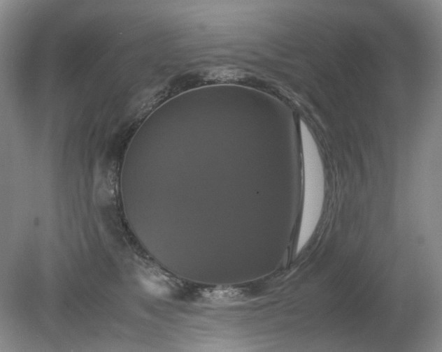 X0000079320517200612011845