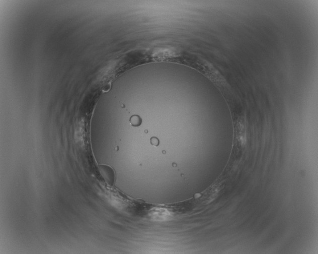 X0000079320519200612011845