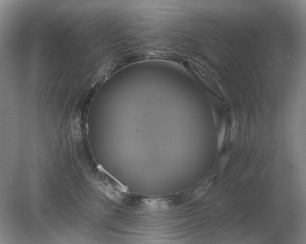 X0000079320520200612011845