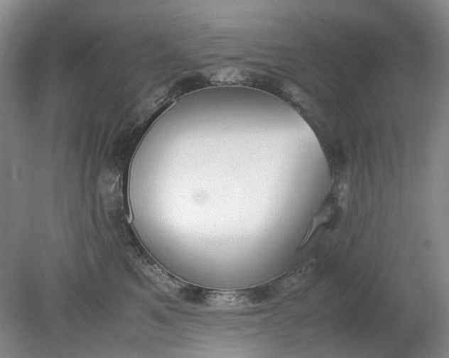 X0000079320521200612011845