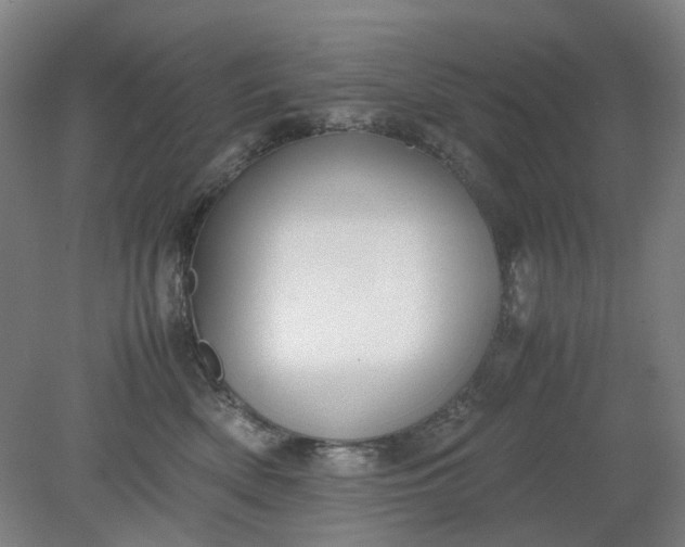 X0000079320522200612011845