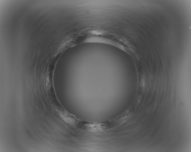 X0000079320524200612011845