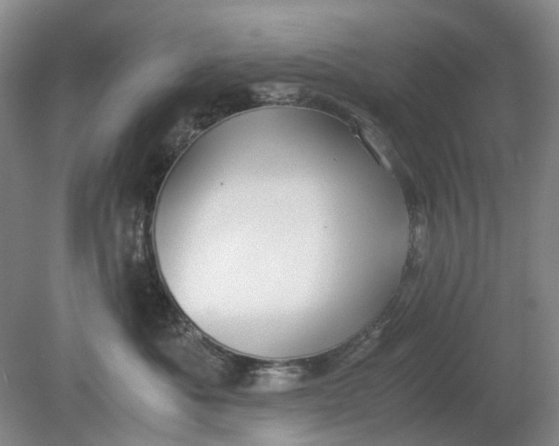 X0000079320525200612011845