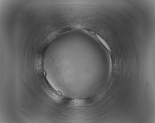 X0000079320526200612011845