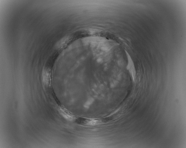 X0000079320527200612011845