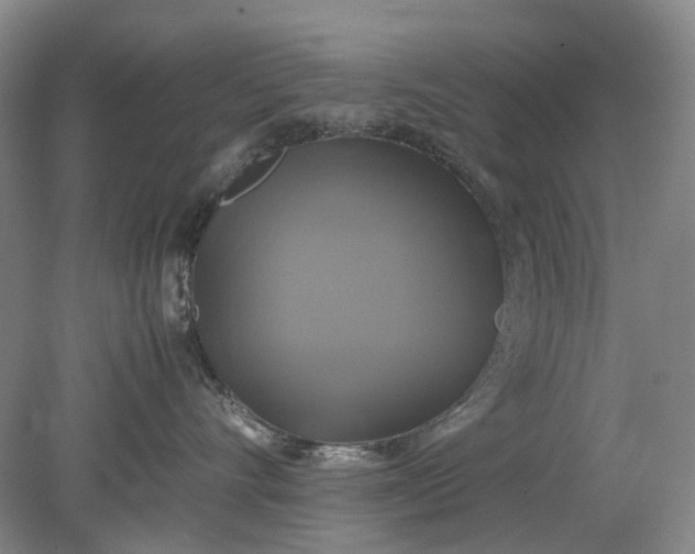 X0000079320528200612011845