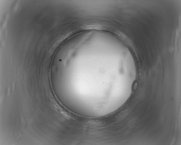 X0000079320529200612011844