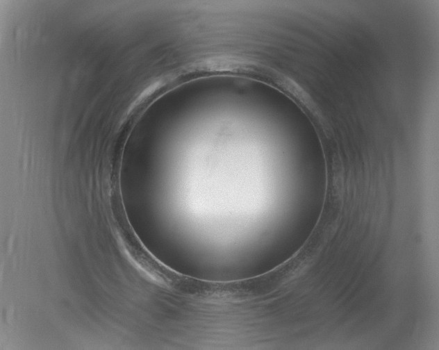 X0000079320530200612011844