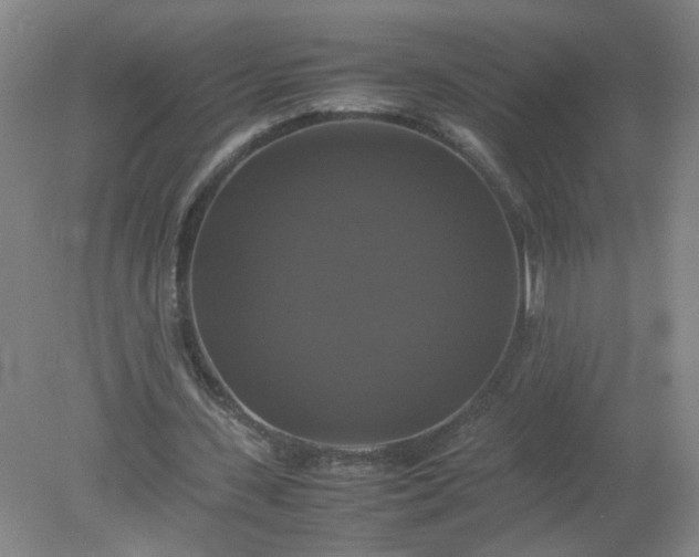 X0000079320531200612011844