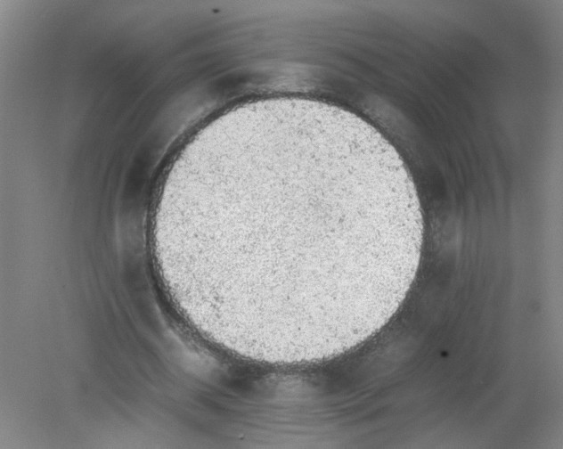 X0000079320534200612011844