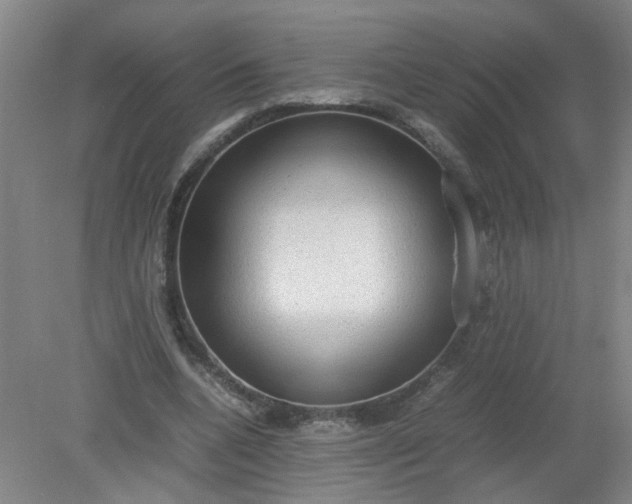 X0000079320536200612011844