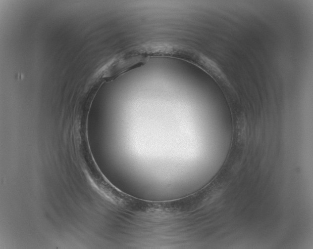 X0000079320538200612011844