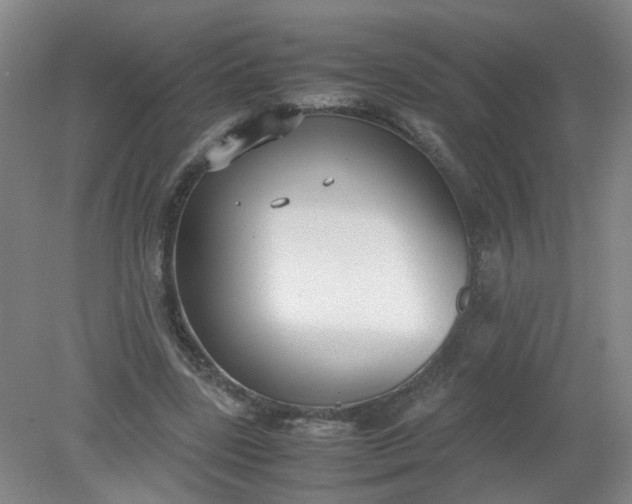 X0000079320539200612011844