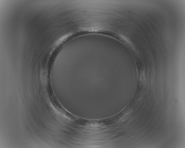 X0000079320540200612011845