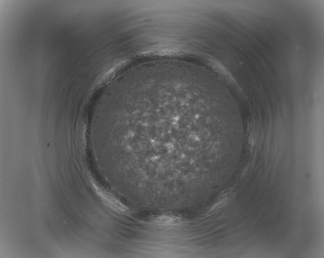 X0000079320542200612011845