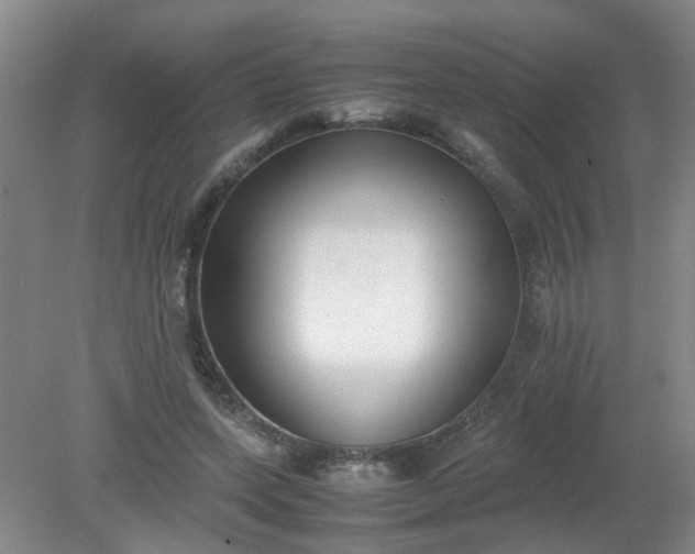 X0000079320543200612011845