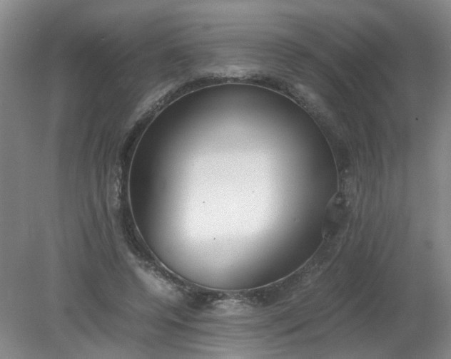 X0000079320544200612011845