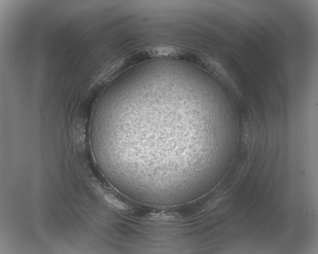 X0000079320545200612011845