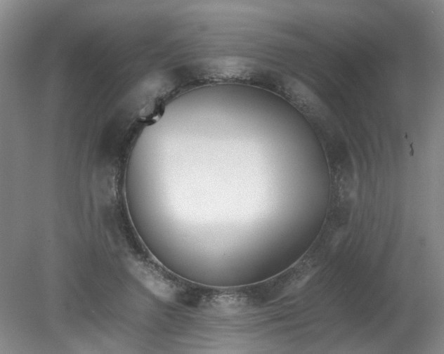 X0000079320546200612011845