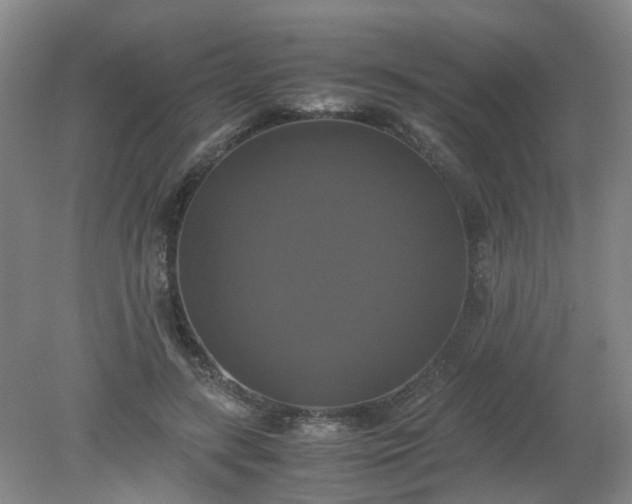 X0000079320547200612011845