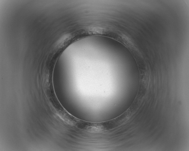 X0000079320548200612011845