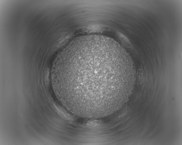 X0000079320550200612011845