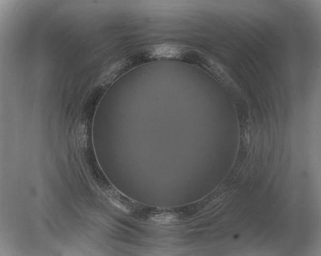 X0000079320551200612011845