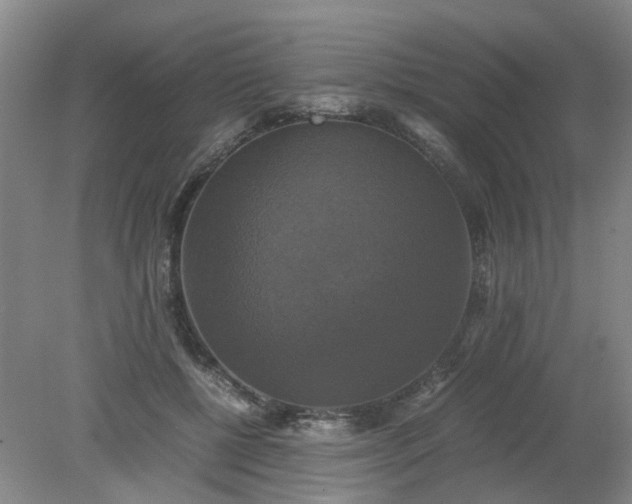 X0000079320552200612011845