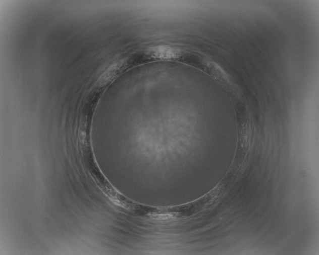 X0000079320553200612011845