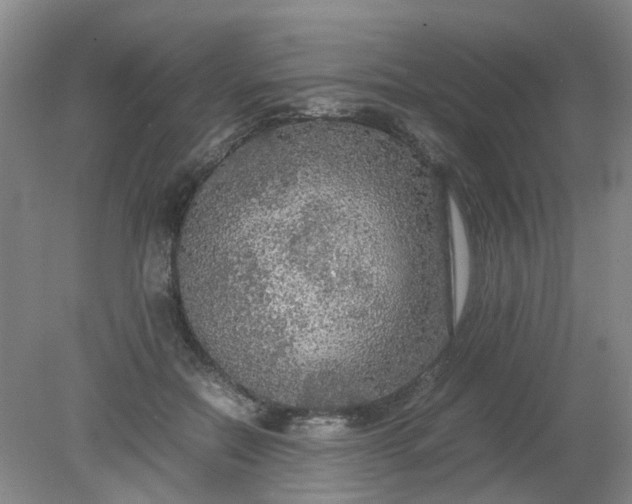 X0000079320554200612011845