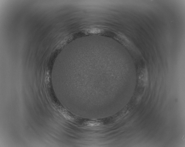 X0000079320555200612011845