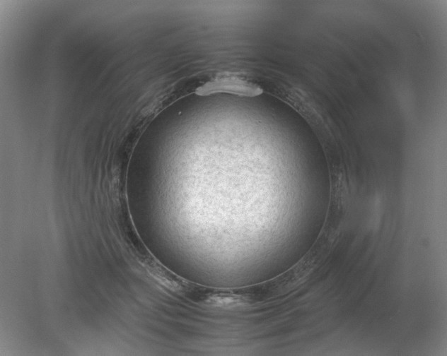 X0000079320557200612011845