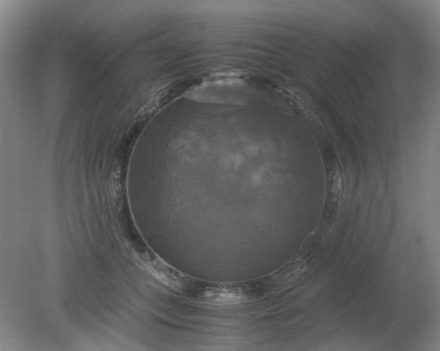 X0000079320559200612011845