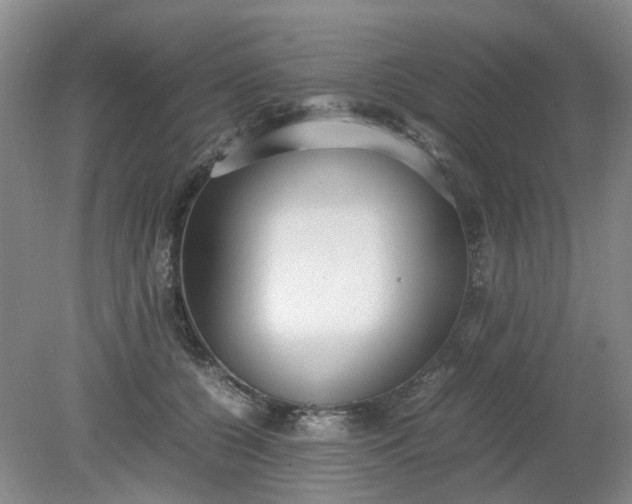 X0000079320560200612011845