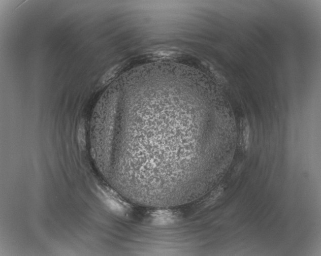 X0000079320562200612011845