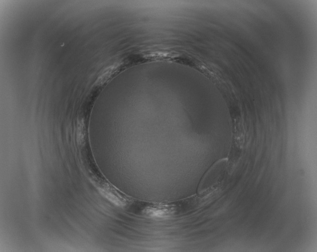 X0000079320563200612011845