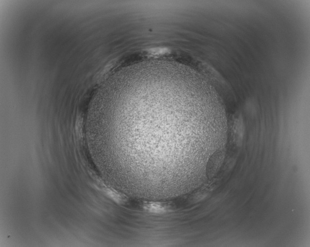 X0000079320565200612011845